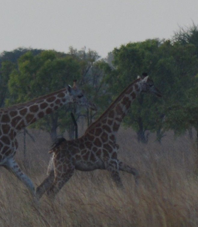 ba47516a-e9fc-4588-ab6a-1a7b535714cf