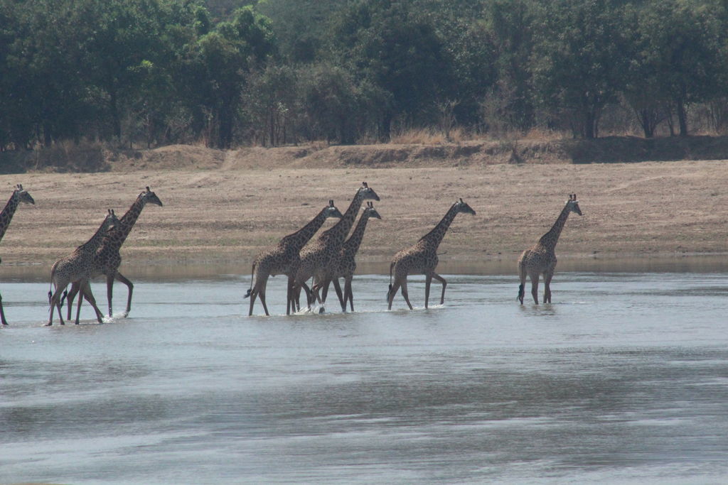 c6fa6877-5e16-45af-a627-81c583e0905f