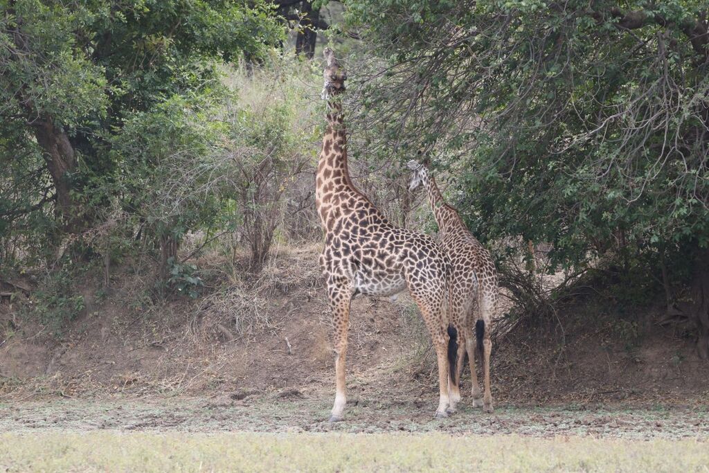 c034e484-4a10-47ce-ba57-67169f93dcc6