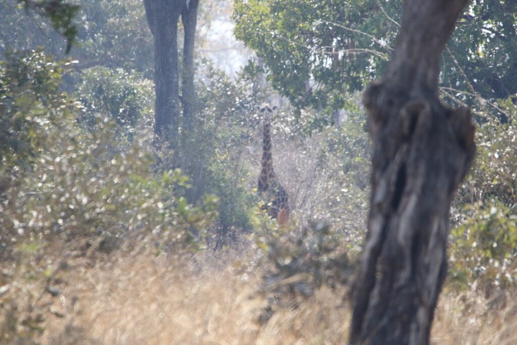 01401431-3267-442d-95b2-a415bddc84f2