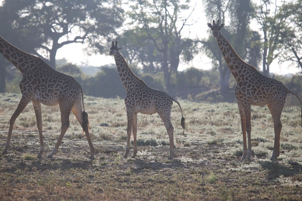 8a658f47-6b4a-4b6a-b36b-bf0ce601d45d