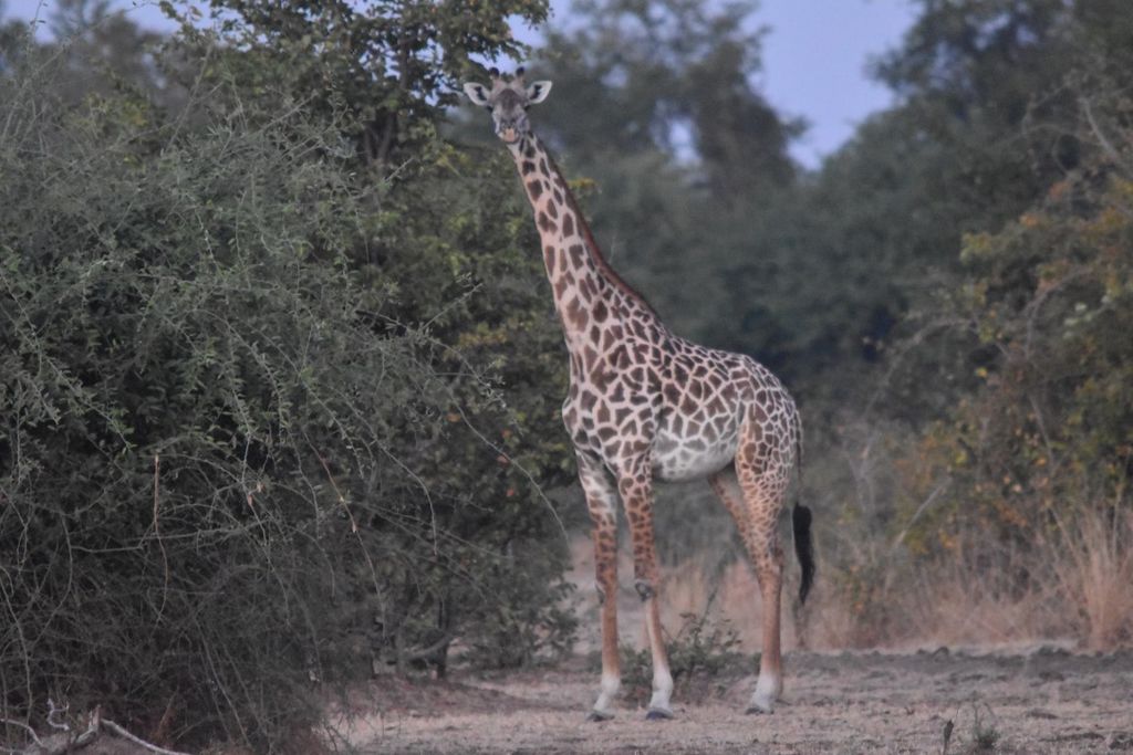 b0c8753b-d6c6-45a2-80aa-5951739c17c4