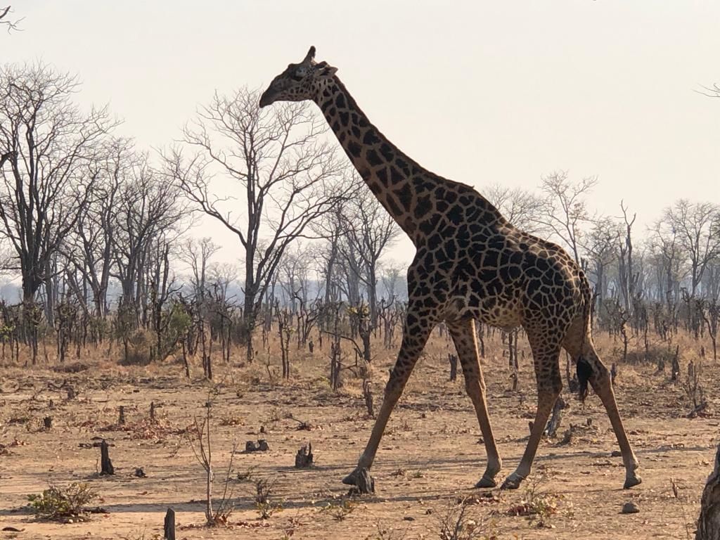 ef78987b-166d-4a4a-afd4-90d48585f17a