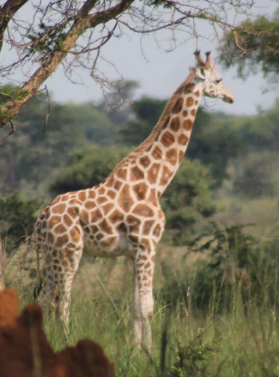 ba47516a-e9fc-4588-ab6a-1a7b535714cf