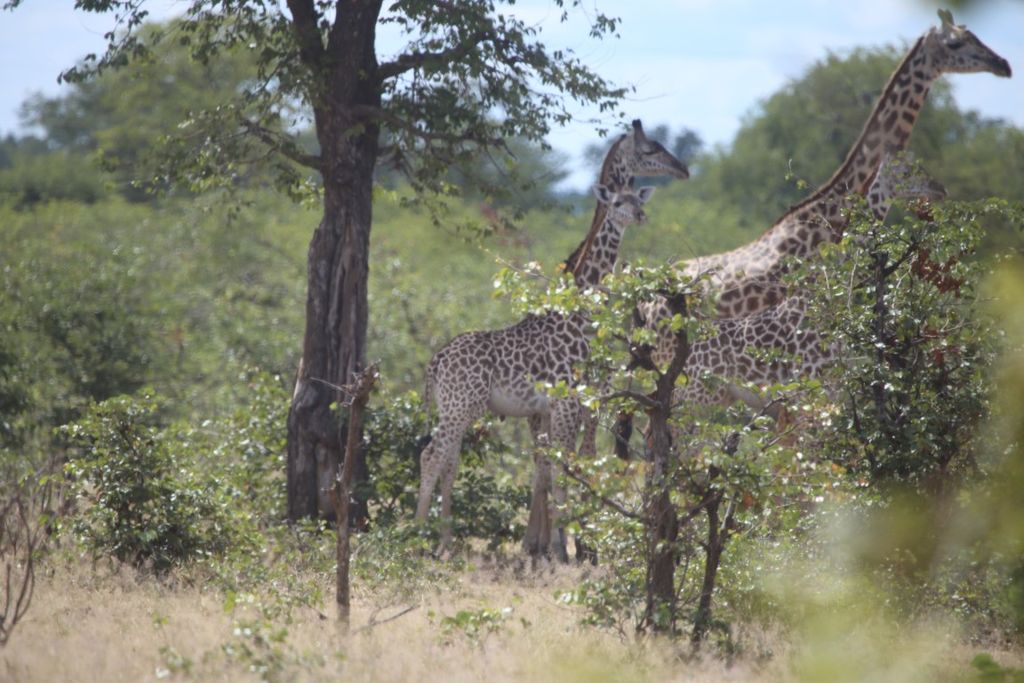 72bf30d9-2061-45ad-abbd-ee099ecb8ba8