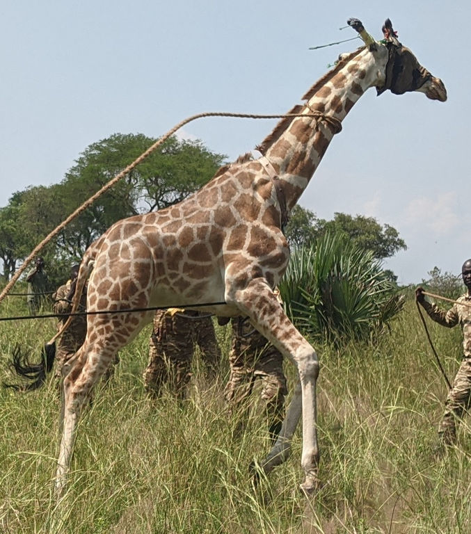 547bc5ba-c41d-48da-872a-2073ca24e260