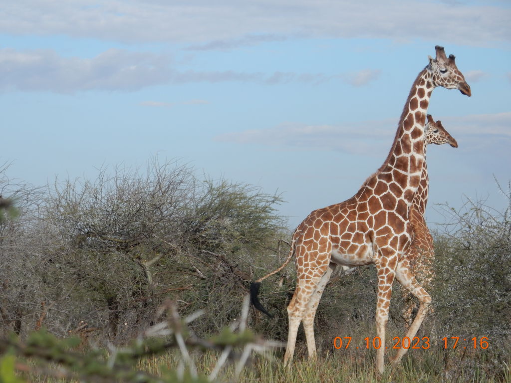 55c7dc1d-8d45-49ad-9506-e6ee3ae06060