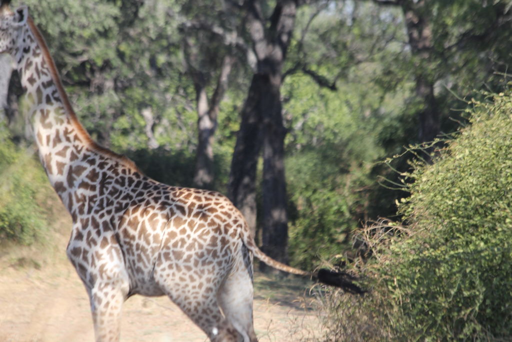 99bd1877-3156-4010-922f-94d31233532e