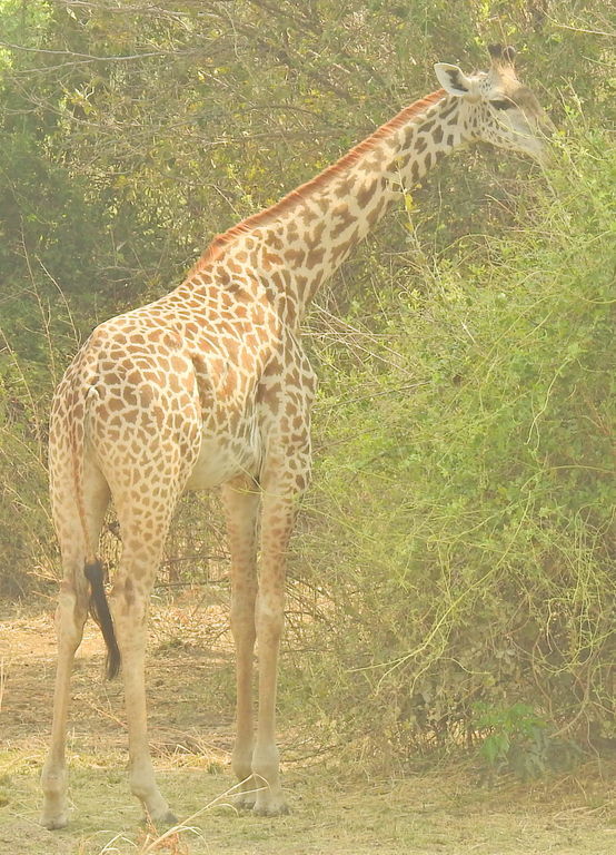 dcc3dd45-8fda-4269-82f4-0eff3bed2b0d