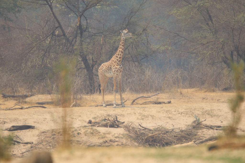 78945f73-e9f6-492c-aa12-91e2c14b21a9