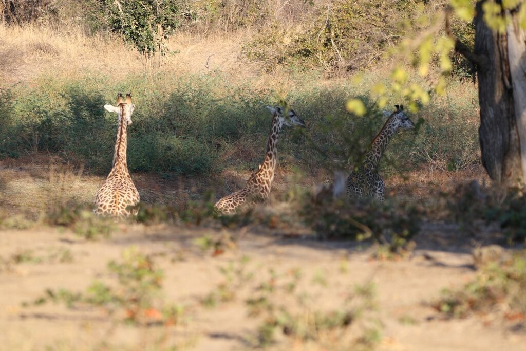 ecd95703-4615-4b63-85d1-02416a8c1b93