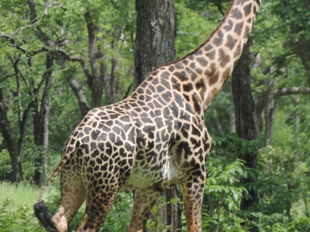 b3b9edb0-dbd9-4169-a6b6-bf8aadc168c4