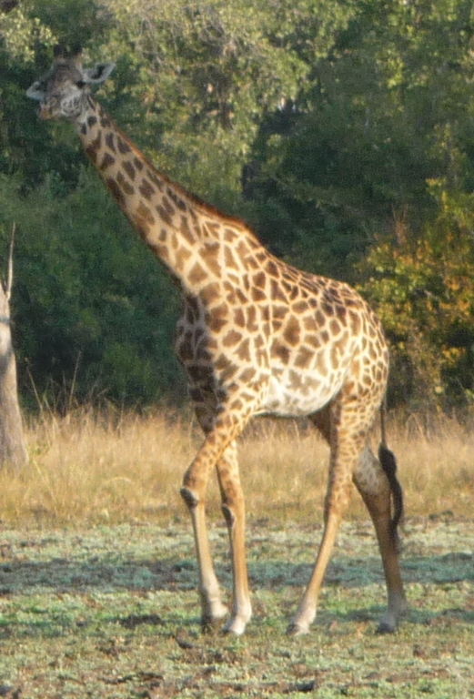 7a676962-cf12-4fd0-bb06-eee16c169ccf