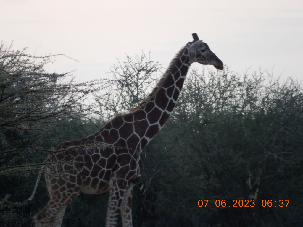 6063d094-36a1-4426-8942-450808a4edba