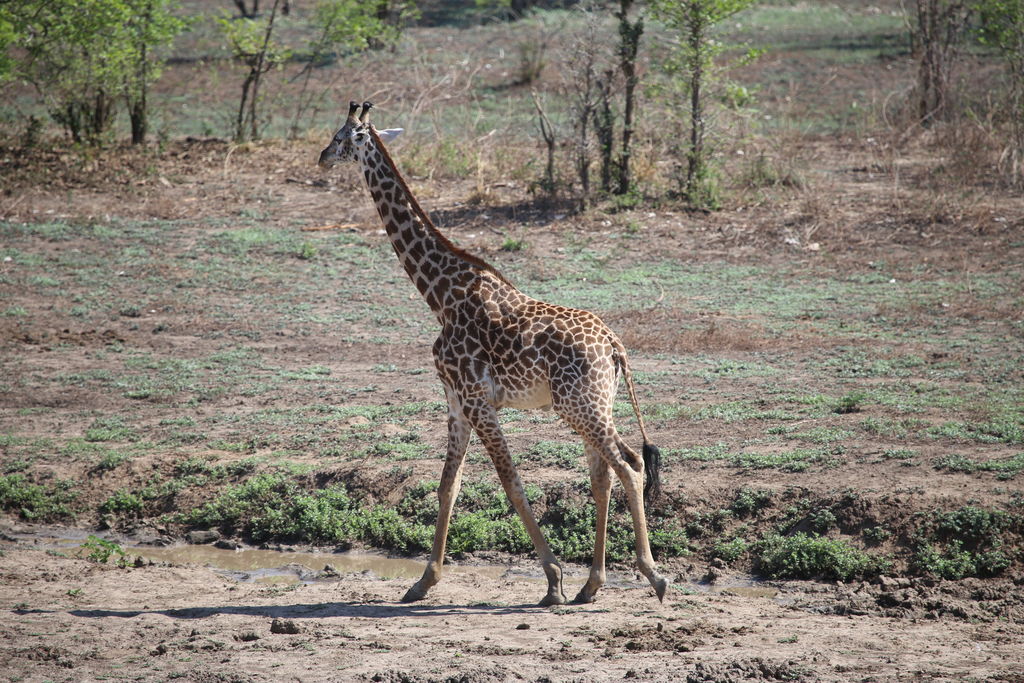 e482782e-81be-4ce1-9266-ca6a48421c72