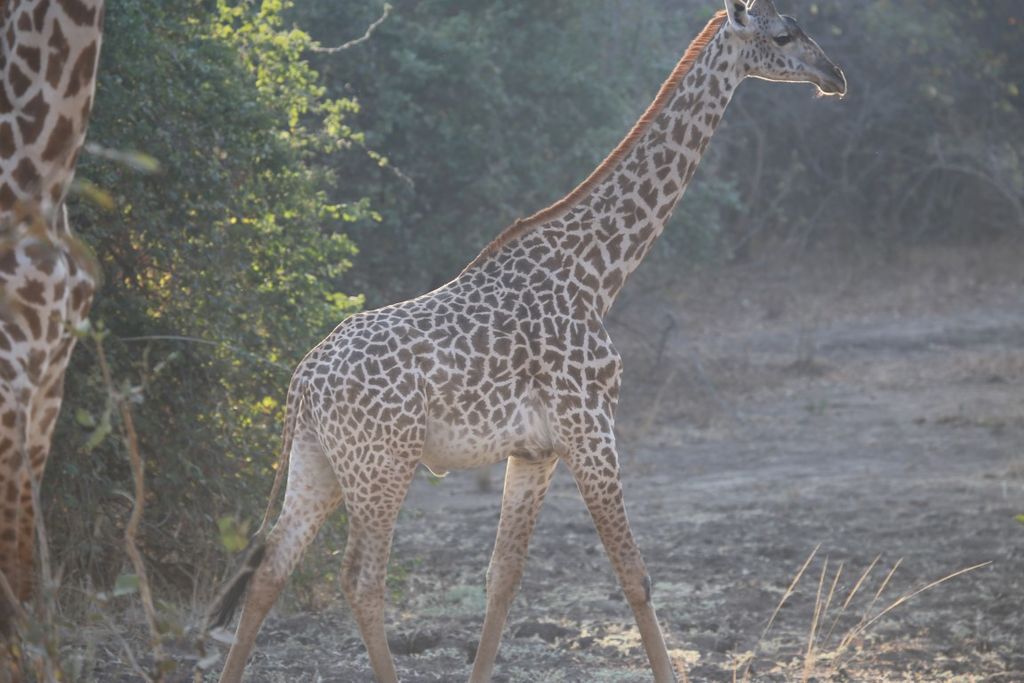 81f0ad53-c790-4e66-b64e-22b6a5d44fb2