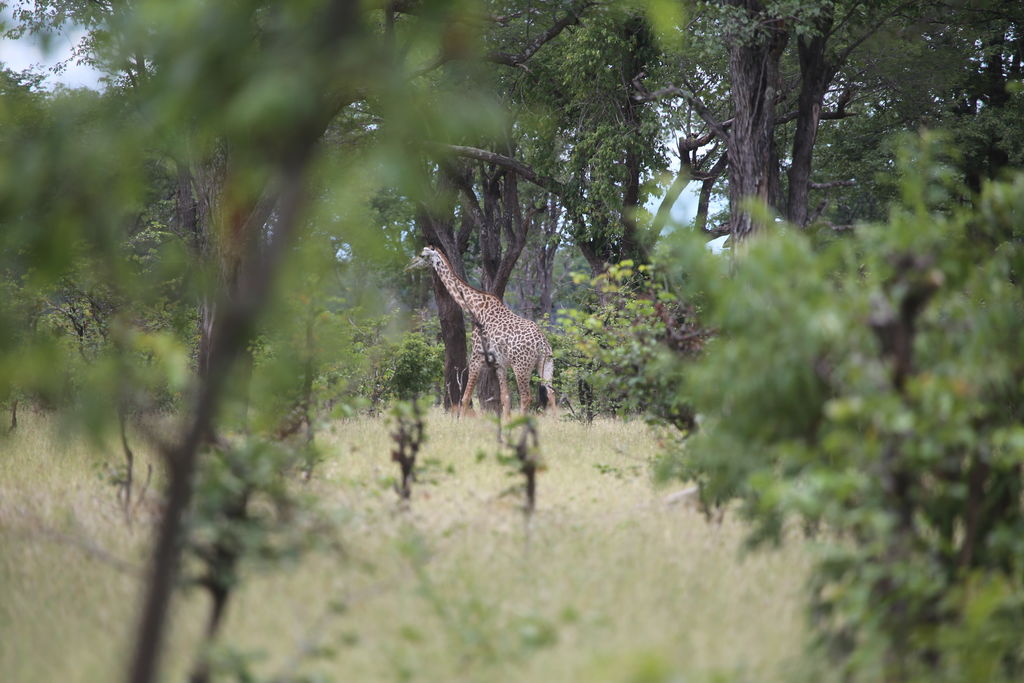 ec063b59-11e4-48cf-b853-9d8d88c46839