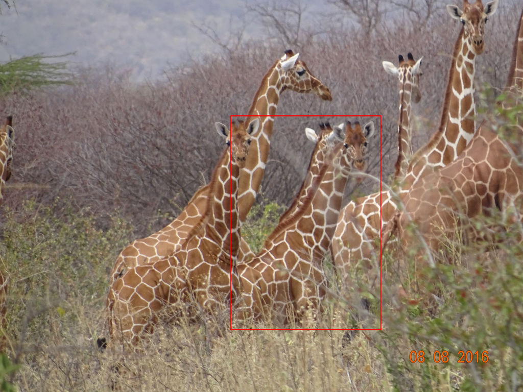 b7bd8dce-f7ec-4ab6-b1db-6cb353fe8a87