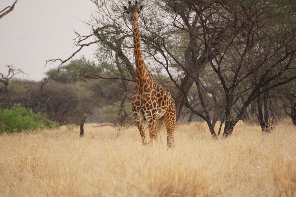 2b1ee0e3-4c01-4291-bc27-baff6685431a