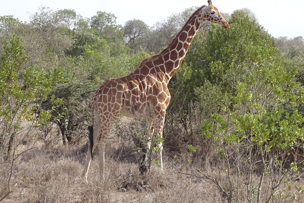 89832ba9-ec7f-43f9-b417-31ebcae6acdd