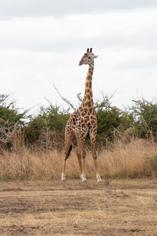 d4df6cf4-75b8-4406-acd1-9de0f47f6c8e