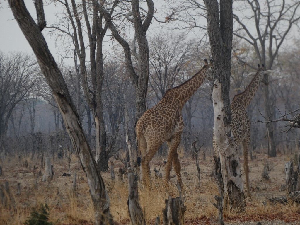 ec063b59-11e4-48cf-b853-9d8d88c46839