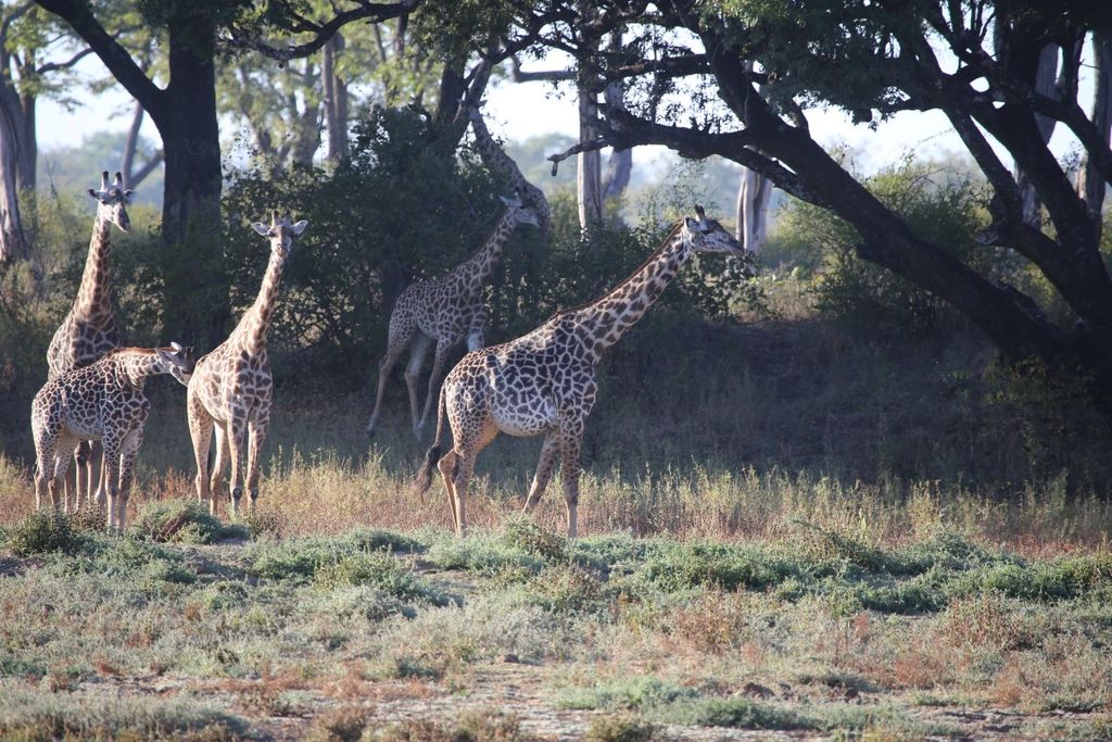 8a658f47-6b4a-4b6a-b36b-bf0ce601d45d