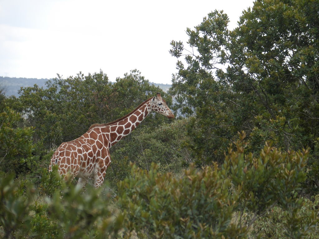 89832ba9-ec7f-43f9-b417-31ebcae6acdd