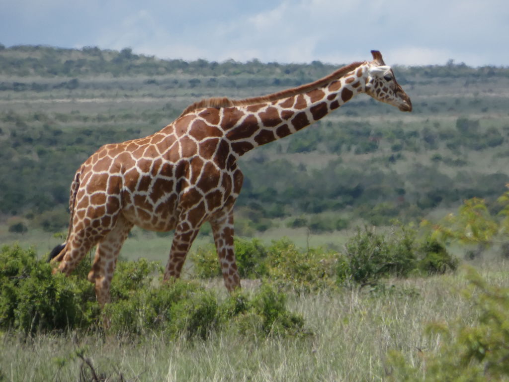 e3e27e5b-8679-4928-b99e-a9774f2e063d