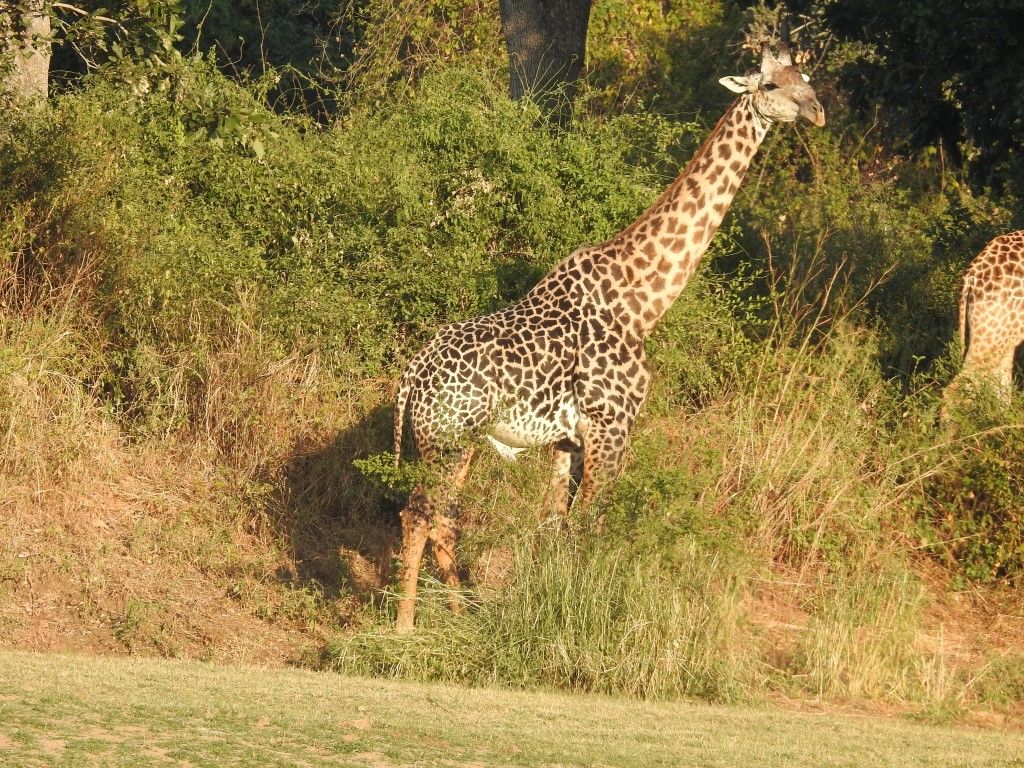 b415d376-17a0-419d-8f59-27ca9c96aa3e