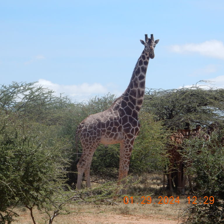 55c7dc1d-8d45-49ad-9506-e6ee3ae06060