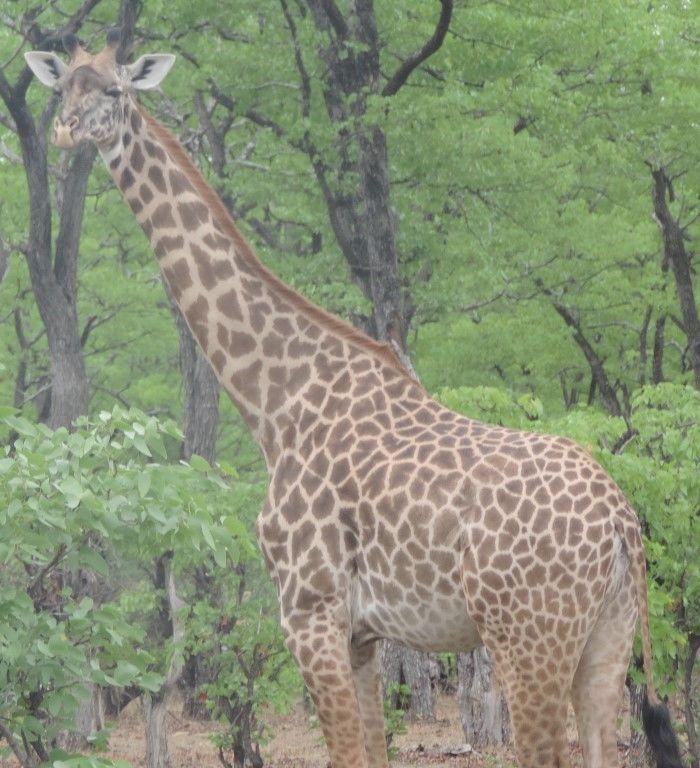 faf0bb12-6323-4ff9-81ae-fe4cb489fa9d