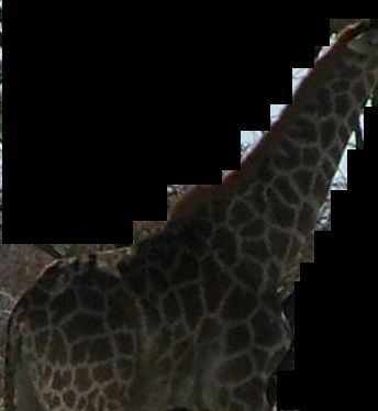 af5b8432-1a1d-4708-bef6-bdddb96114c2