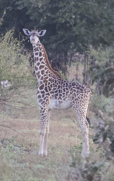 9b31fcf3-c9e8-4367-bec5-f1ddc650497e