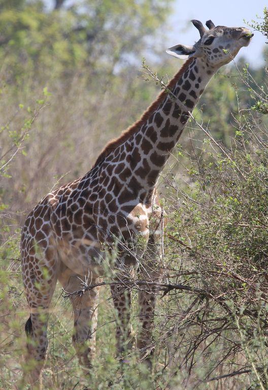 9b31fcf3-c9e8-4367-bec5-f1ddc650497e