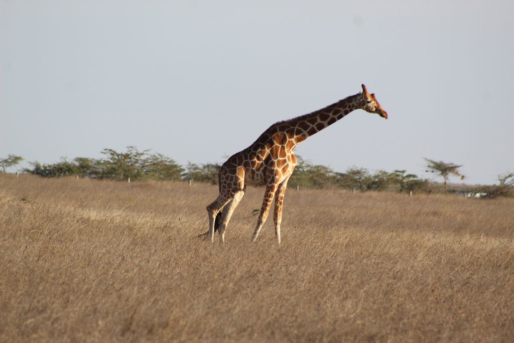 c24ce6ca-aa15-43b0-bd95-eade0f8ad9a3