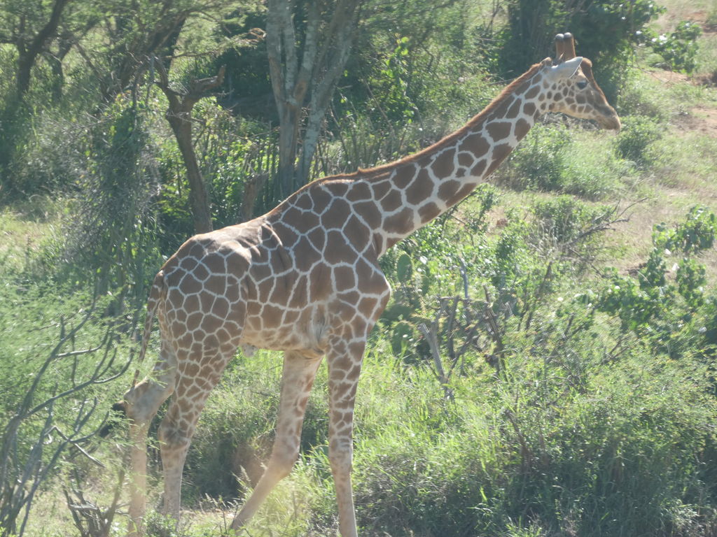 bac04dcf-e5a4-4ea6-9dd7-cb789937997c