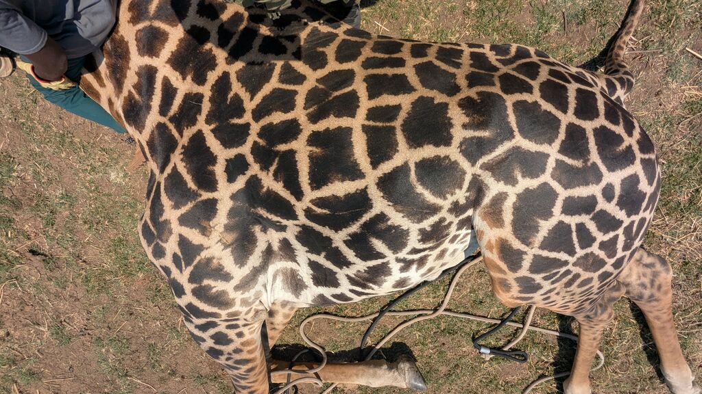 ef78987b-166d-4a4a-afd4-90d48585f17a