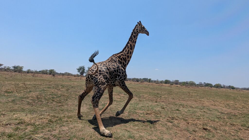 ef78987b-166d-4a4a-afd4-90d48585f17a