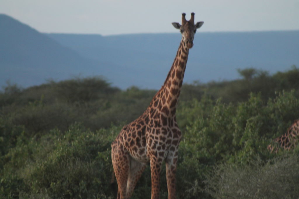 9f8e3609-dd2f-4eea-b6fc-c327d49b1a7a