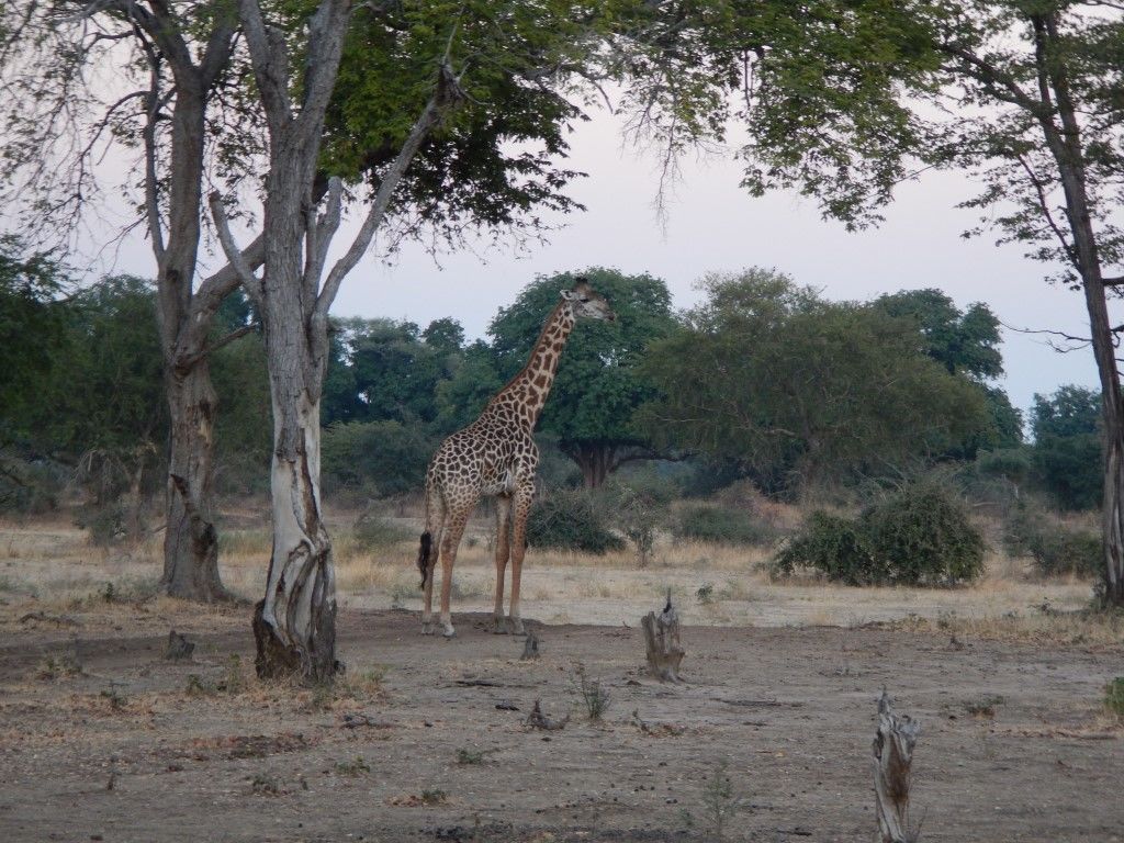 eb6d70e5-6af2-473a-902a-a62f8eb1a98c