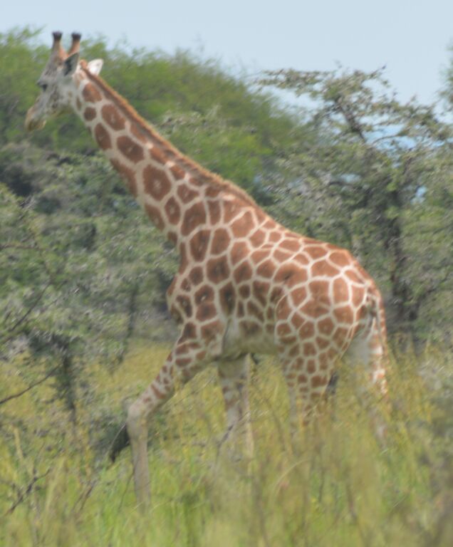 ba47516a-e9fc-4588-ab6a-1a7b535714cf