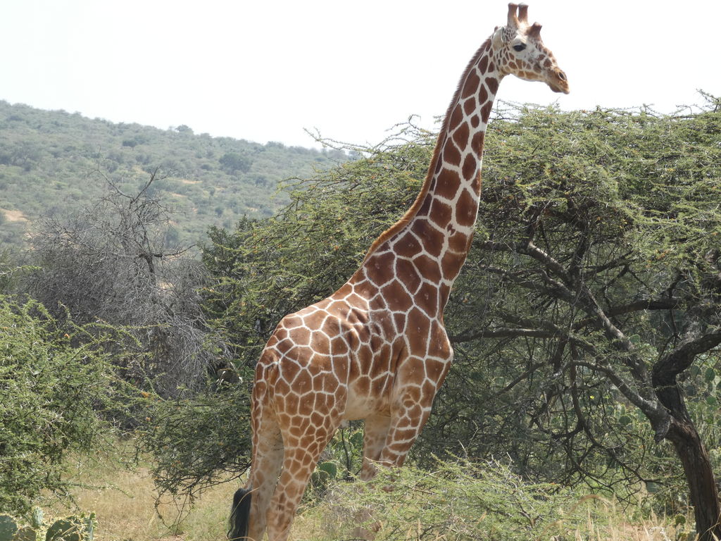 ef7df580-8d06-4b4b-b776-c7c9fd720f45