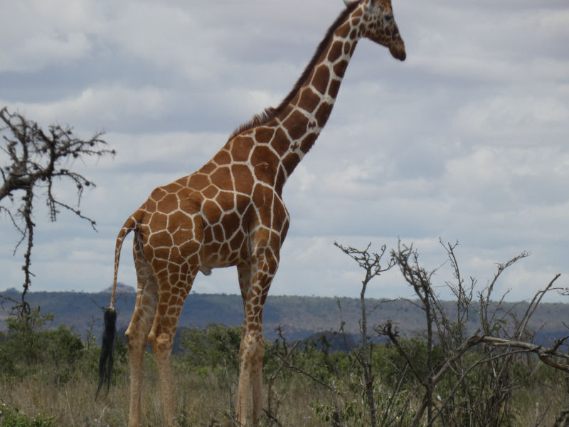 8b3a2d12-b470-4227-a6e9-e6daf88f1d6a