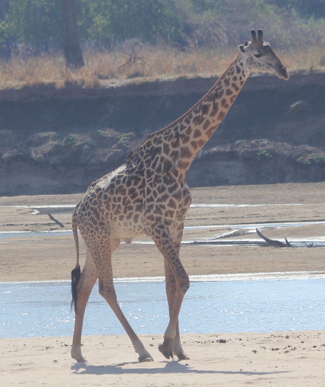 91137adc-6cfd-4ef2-96a2-4ab539f54133