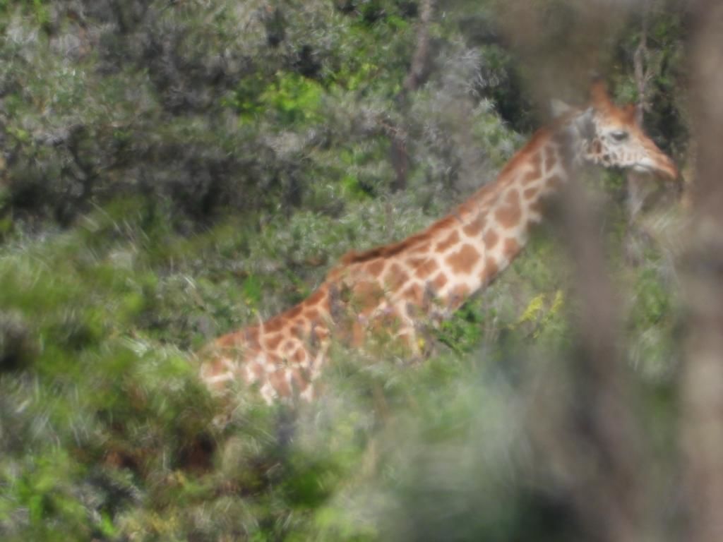 a6cbe553-821e-476e-a12b-945d2ce91459