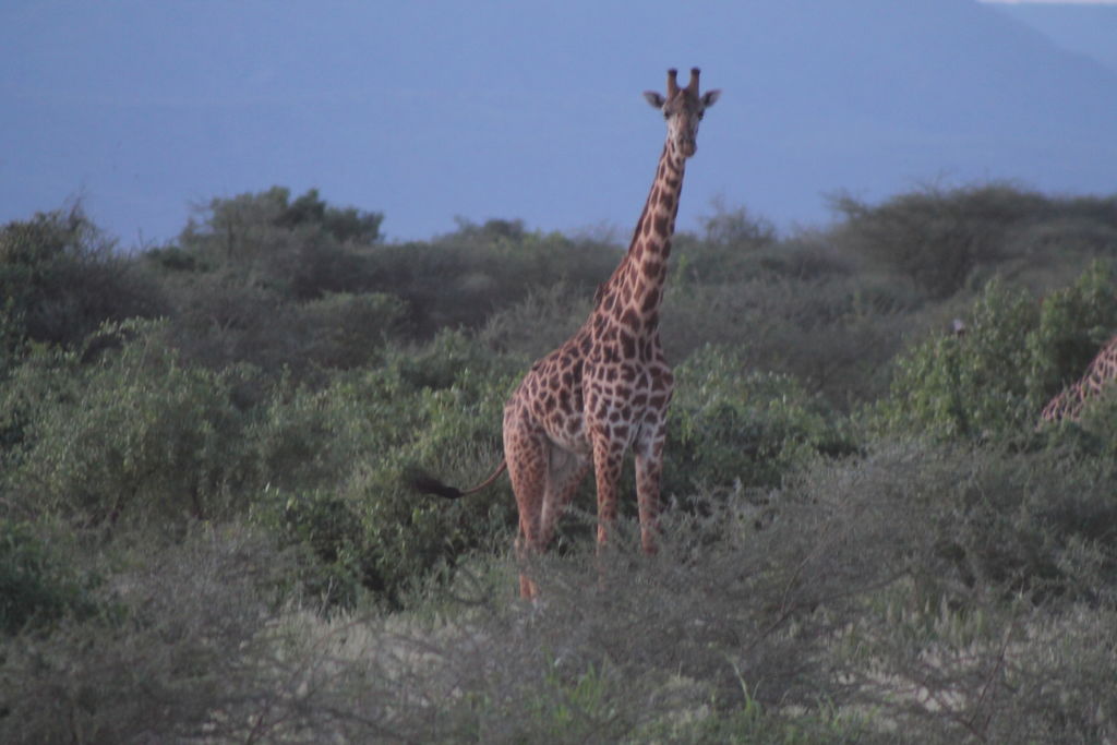 9f8e3609-dd2f-4eea-b6fc-c327d49b1a7a