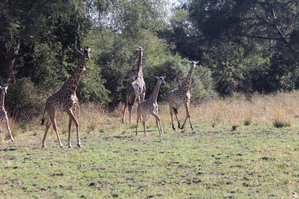 ecda2950-d136-495f-930b-5dbb882186a8