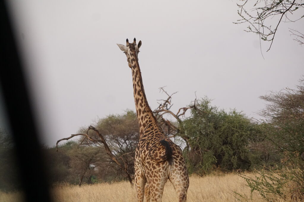 4734fb2c-3742-41eb-9279-8f649a9184e3