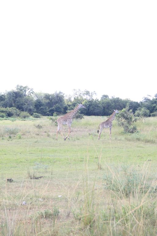 2de0fded-204d-4737-bb66-ddafebba0fba